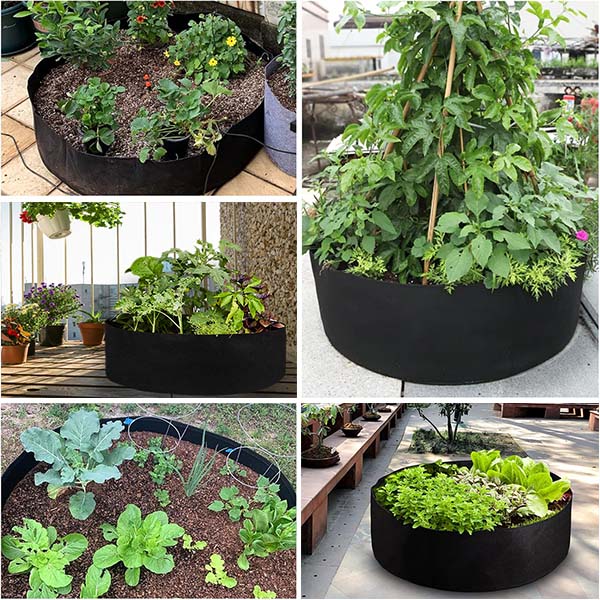PLANTIE