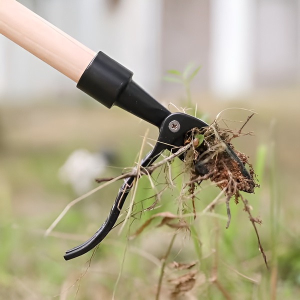 ROOTNIK10300